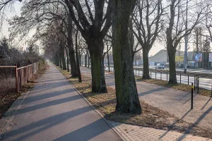 Miasto rezygnuje z przebudowy drogi rowerowej we Wrzeszczu