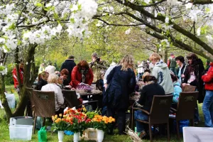 Wystawa "Ogród 2011" w Gdyni Kolibkach