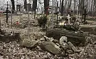 Posprzątają cmentarz na Kolibkach i Jezioro Kackie