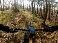 Leśne trasy rowerowe: pasmo wzgórz Pachołka
