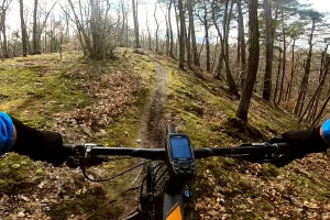 Leśne trasy rowerowe: pasmo wzgórz Pachołka