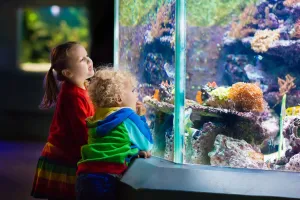 Spacer w zoo, kino czy warsztaty? Planujemy rodzinny weekend
