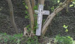 Fragmenty nagrobków porzucone w lesie