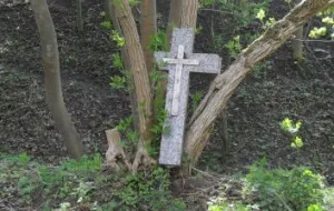 Fragmenty nagrobków porzucone w lesie