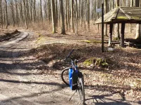 Weekendowa wycieczka rowerem po gdyńskich lasach