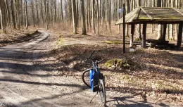 Weekendowa wycieczka rowerem po gdyńskich lasach