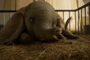 O słoniu, który fruwał wysoko. Recenzja filmu "Dumbo"