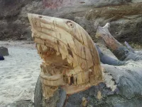 Nowe tajemnicze rzeźby na plaży w Babich Dołach