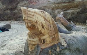 Nowe tajemnicze rzeźby na plaży w Babich Dołach
