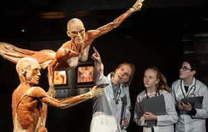 Już 36 tys. widzów odwiedziło wystawę Body Worlds w Trójmieście