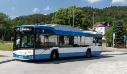 Trolejbusy na Demptowo. Nowa linia startuje w poniedziałek, 17 czerwca