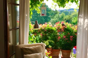 Gdańsk. Konkurs na najpiękniejszy balkon