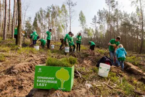 Riviera kolejny raz angażuje się w regionie. Tym razem sadzi drzewa na Kaszubach