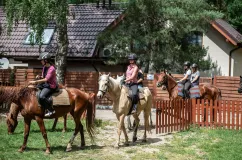 Jazda konna i spacery na problemy z sercem. Pilotażowy program UCK i Lasów Państwowych