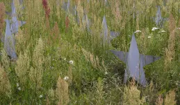 Trawy przesłoniły nagrobki na cmentarzu wojennym