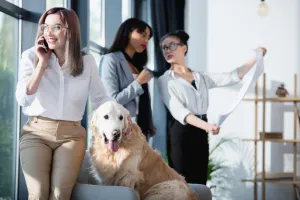 Z psem lub kotem do biura? Pracownicy są podzieleni