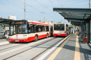 W Trojmiasto.pl sprawdzisz ważność biletu na karcie miejskiej