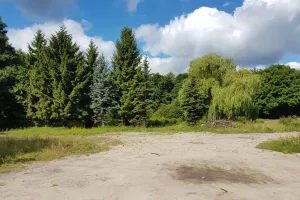 Sopot. W ramach inwestycji przy Haffnera przybędzie drzew