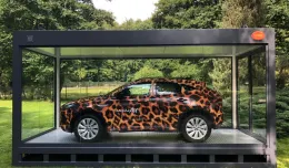 Jaguar (na czterech kołach) w gdańskim zoo