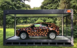 Jaguar (na czterech kołach) w gdańskim zoo