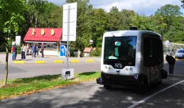 Busem bez kierowcy można dojechać do zoo