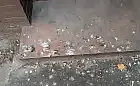 Nierówna walka z brudzącymi gołębiami