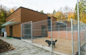 Nowy pawilon dla psów z Ciapkowa