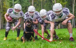 Psy i sportowcy. Charytatywny kalendarz z Sopotkowa
