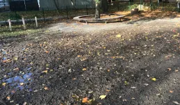 Piasek zastąpi trawnik na wybiegu dla psów w parku Centralnym w Gdyni