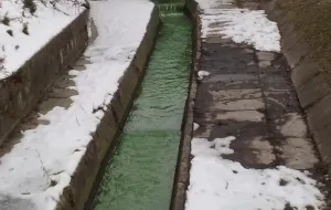 Nie bój się zielonej wody w Gdyni