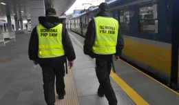 SKM szuka ochroniarzy do pilnowania porządku w pociągach