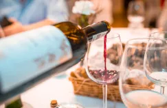 Jak smakuje wino z 2019 roku? Beaujolais nouveau w Trójmieście