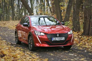 Nowy Peugeot 208: lwiątko wypiękniało