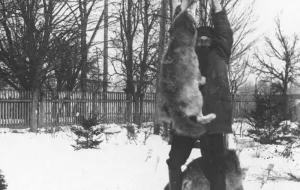 Listopad 1934: Gdy nadchodzą wilki...