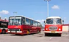 Poznaj historyczną flotę gdańskich autobusów