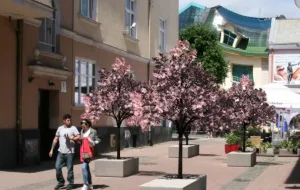 Sopot: deptak dla drzewek, nie dla aut