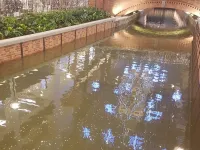 Kanał Raduni w Forum Gdańsk jak fontanna. Woda pełna monet
