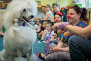 Dogoterapia coraz popularniejsza w trójmiejskich szpitalach
