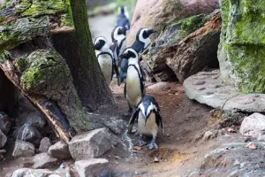 Zoo, teatr czy naukowe warsztaty? Zaplanuj z nami rodzinny weekend