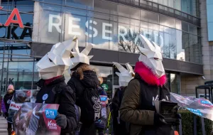 Protestowali przeciwko używaniu kaszmiru przez gdańską firmę odzieżową