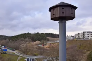 Wieża na Karwinach gotowa na przylot jerzyków