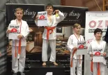 Karatecy z Trójmiasta zdobyli worek medali. Zdążyli przed koronawirusem