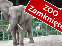 Zamknięte zoo. Schroniska z ograniczeniami