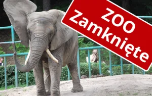 Zamknięte zoo. Schroniska z ograniczeniami