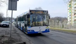 Gdynia: więcej autobusów w szczytach komunikacyjnych