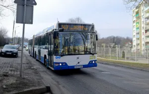 Gdynia: więcej autobusów w szczytach komunikacyjnych