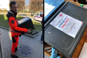 Pomoc dla seniorów z Żabianki i Jelitkowa