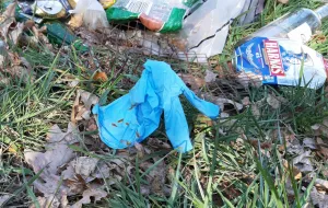 Zużyte rękawiczki zaśmiecają ulice i trawniki. Grozi za to mandat