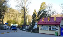 Gdańskie zoo zamknięte do odwołania