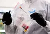 Testy na koronawirusa: warto wiedzieć